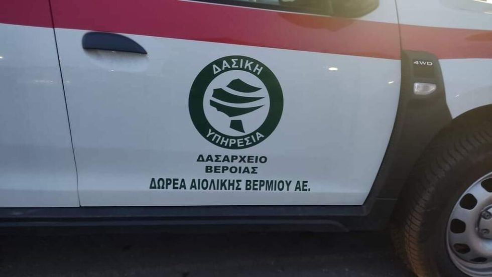 dasarxeio veroias